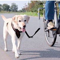 So könnte eine passende Hunde Fahrradleine aussehen.