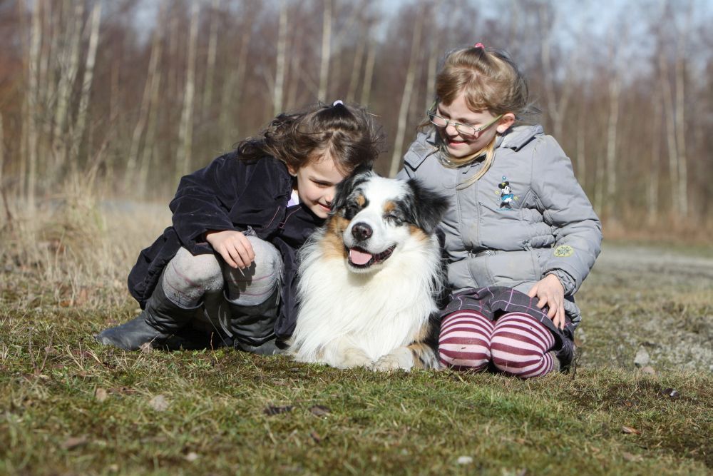 Die Begeisterung für einen Hund lässt bei Kindern schnell nach wenn es um die tägliche Arbeit geht!